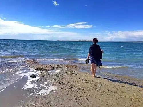 自由人是什么意思？