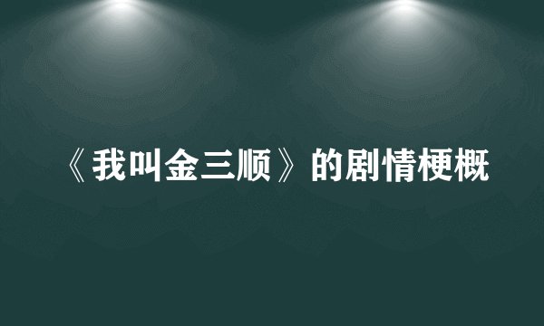 《我叫金三顺》的剧情梗概