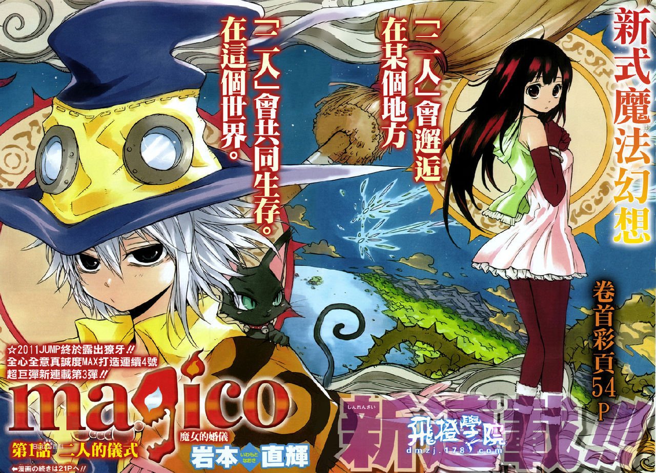 魔女的婚仪的角色介绍