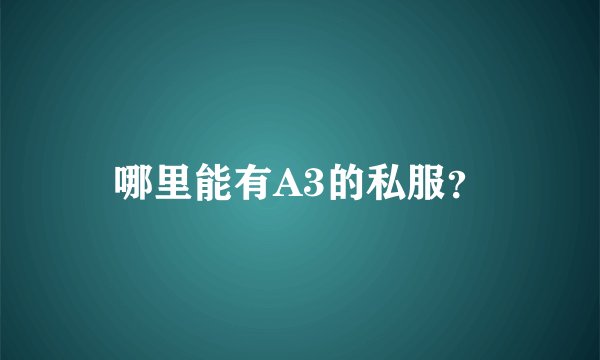 哪里能有A3的私服？