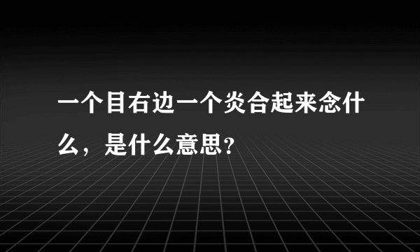 一个目右边一个炎合起来念什么，是什么意思？
