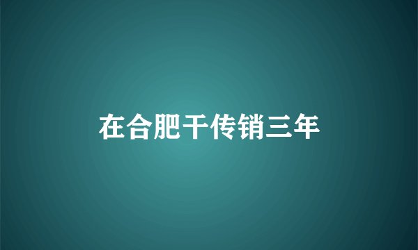 在合肥干传销三年