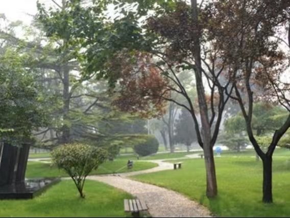 北京物资学院的校园环境怎么样