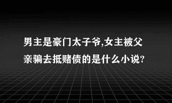男主是豪门太子爷,女主被父亲骗去抵赌债的是什么小说?