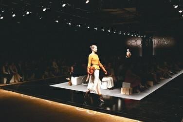 纯黑的基本信息是什么？