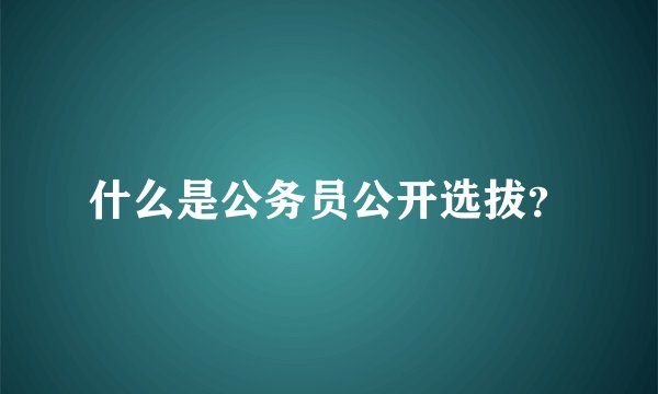 什么是公务员公开选拔？