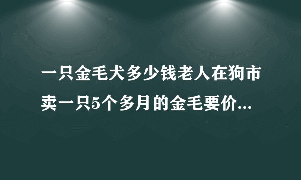 一只金毛犬多少钱老人在狗市卖一只5个多月的金毛要价600元没人要是怎么回事