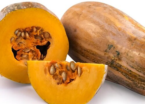 南瓜是哪里产的？