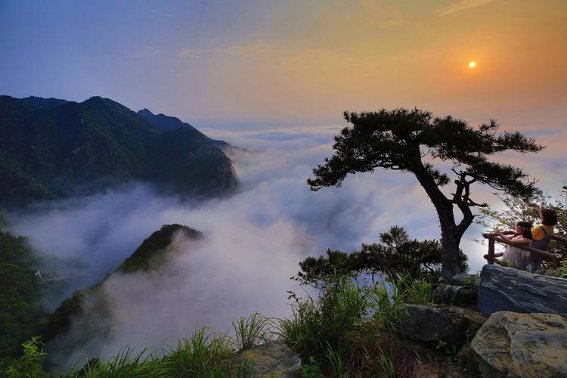 乱云飞渡仍从容的上一句