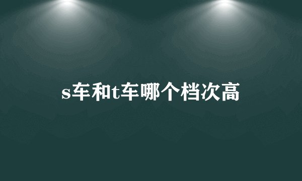 s车和t车哪个档次高