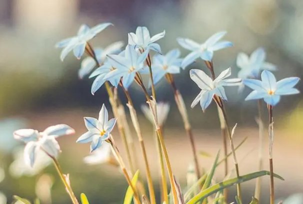 记叙文的题目有哪些?