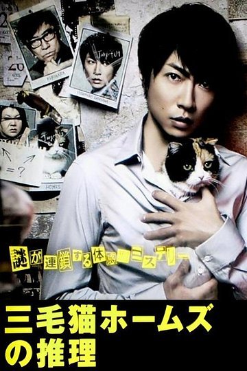 三色猫福尔摩斯的推理的剧情简介