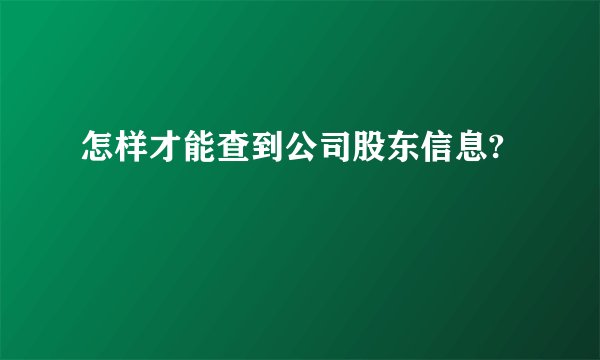 怎样才能查到公司股东信息?