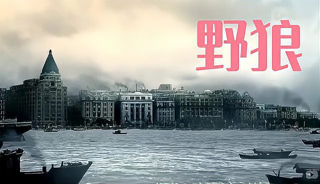 电视剧野狼剧情介绍