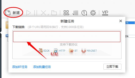 关于用迅雷下载电影的网站有哪些