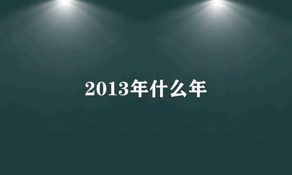 2013年什么年