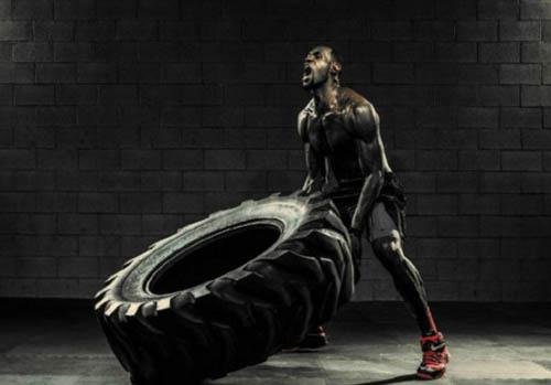 人的五大身体素质是什_?