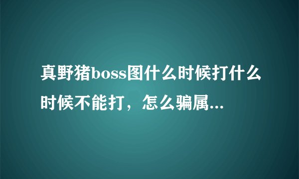 真野猪boss图什么时候打什么时候不能打，怎么骗属性和，龙卷风时能打吗？求详解