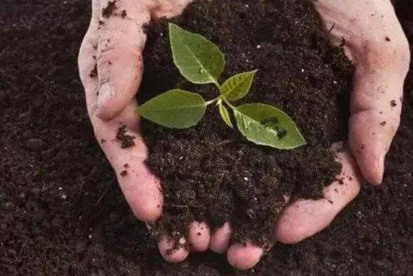 沃土是什么意思