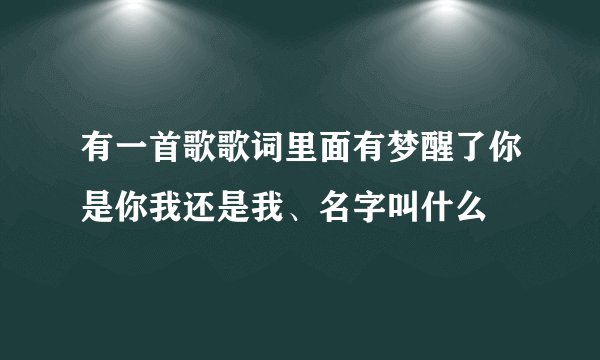 有一首歌歌词里面有梦醒了你是你我还是我、名字叫什么
