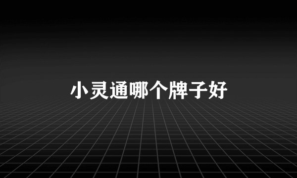 小灵通哪个牌子好