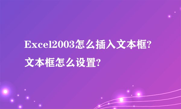 Excel2003怎么插入文本框?文本框怎么设置?