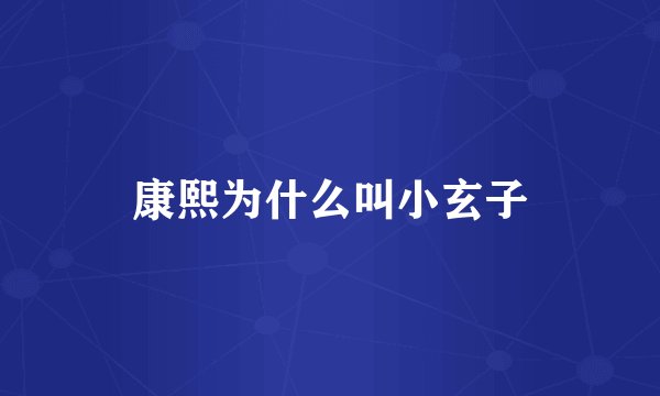 康熙为什么叫小玄子