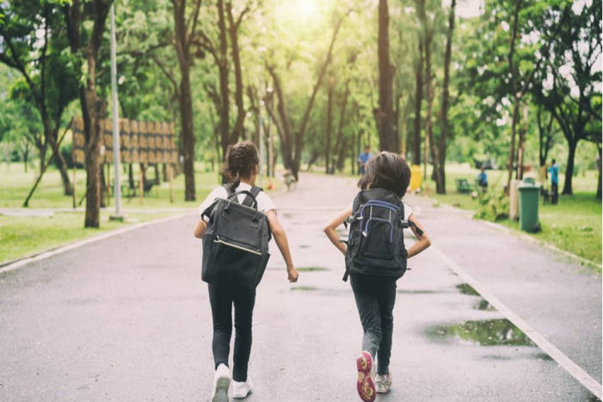 南和小学招生划片范围