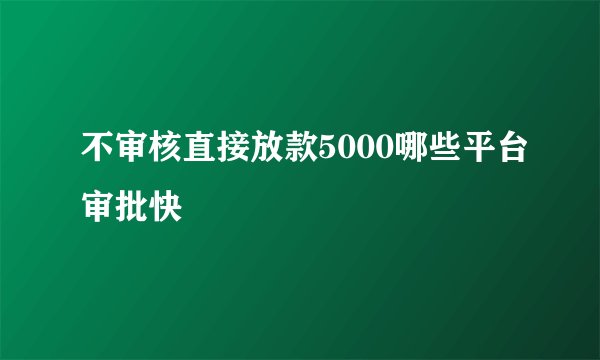 不审核直接放款5000哪些平台审批快