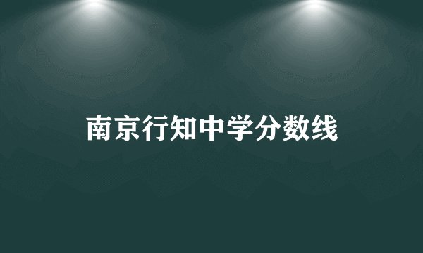 南京行知中学分数线