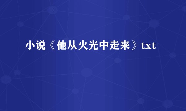 小说《他从火光中走来》txt