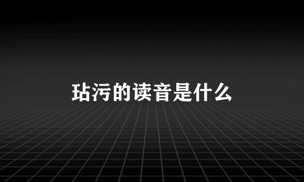 玷污的读音是什么