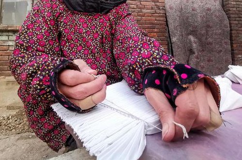 彩子是什么意思