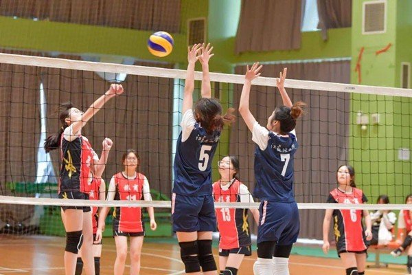 排球队员一共有几个人