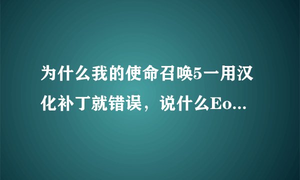 为什么我的使命召唤5一用汉化补丁就错误，说什么Eorry...... 就打开不了了，好想玩一下联机，要汉化