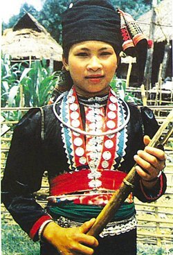 族子的族子本义含义