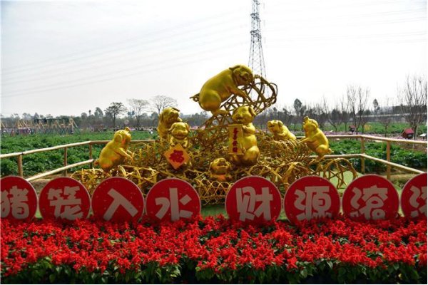 猪笼入水是什么意思？