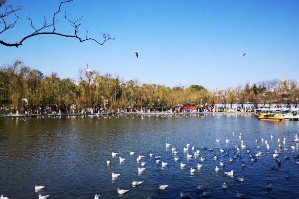 昆明教育局投诉电话