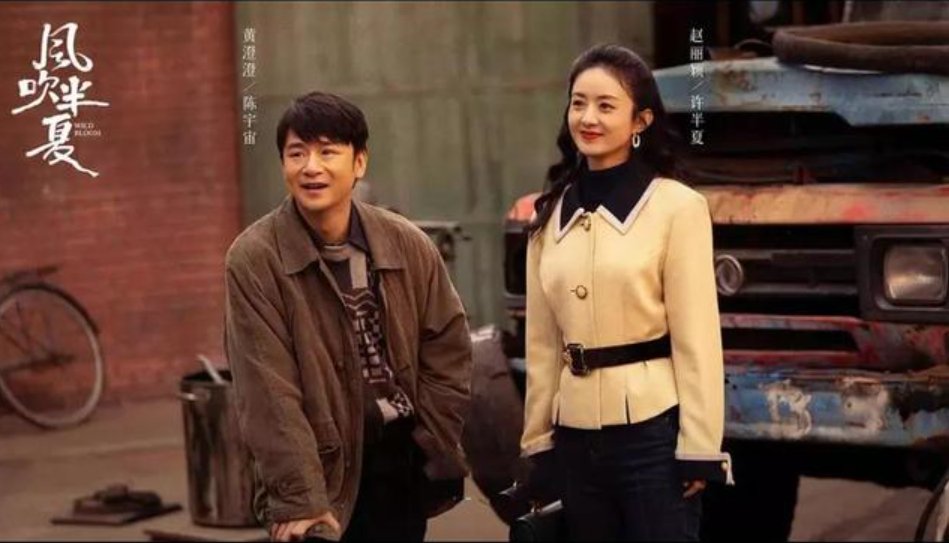 风吹半夏剧情介绍分集