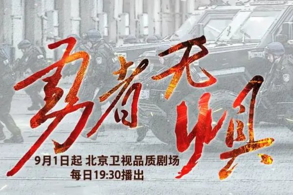 勇者无惧剧情介绍