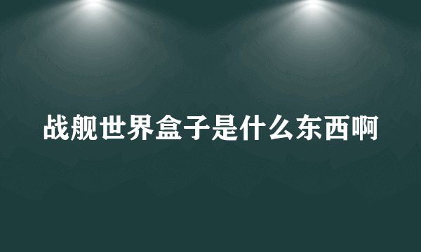 战舰世界盒子是什么东西啊