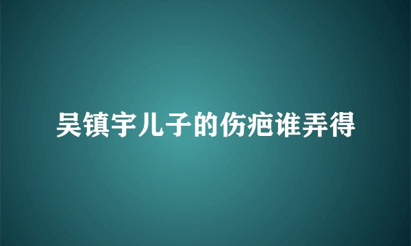 吴镇宇儿子的伤疤谁弄得