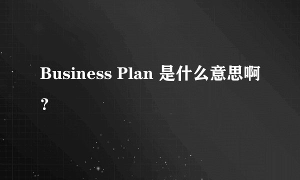 Business Plan 是什么意思啊？
