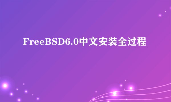 FreeBSD6.0中文安装全过程