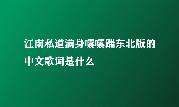 江南私道满身囔囔踹东北版的中文歌词是什么