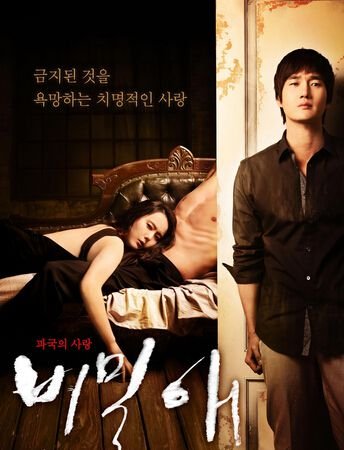 迷宫：秘密爱的介绍