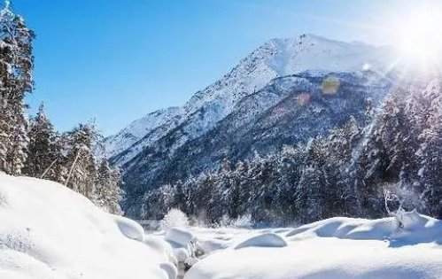 冷冬是什么意思呀？