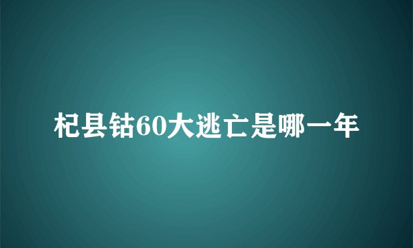 杞县钴60大逃亡是哪一年