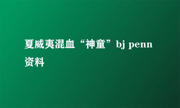 夏威夷混血“神童”bj penn资料