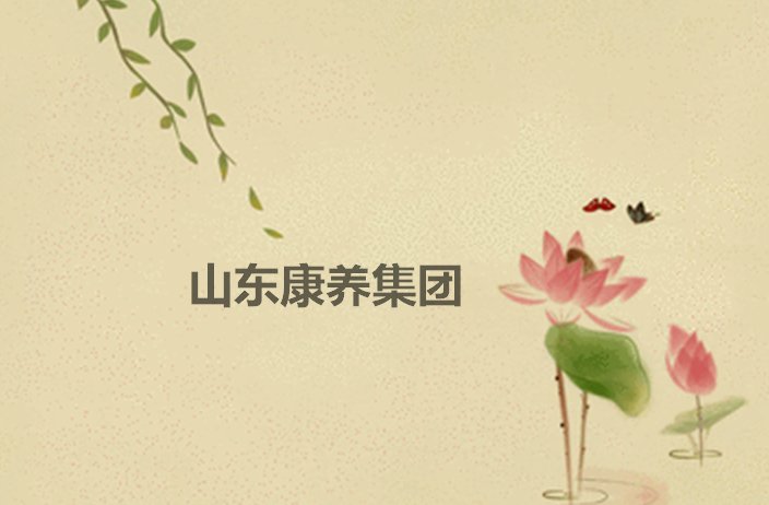 山东康养集团简介